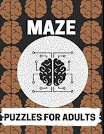 Maze Puzzles For Adults