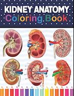 Kidney Anatomy Coloring Book