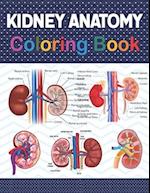 Kidney Anatomy Coloring Book