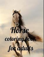 Horse coloring book for adults