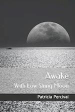 Awake with Low Slung Moon 