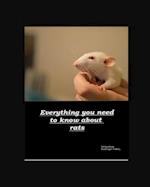 Everything you need to know about rats 