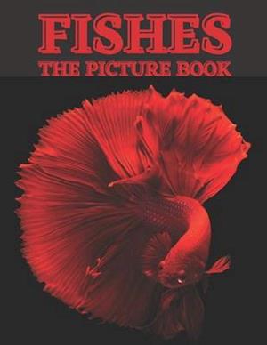 Fishes : The Picture Book of Beautiful Fishes for Dementia, Senior's & Alzheimer's.