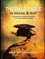 THE BALD EAGLE IN IMAGE & ART: A Reference Work for Aspiring Photographers & Artists 