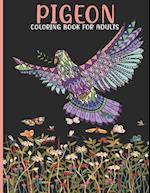 Pigeon Coloring Book For Adults