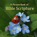 A Picture Book of Bible Scripture: A Beautiful Large Print Picture Book for Seniors With Alzheimer's or Dementia. 