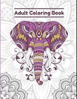 Adult Coloring Book