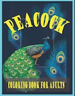 Peacock coloring book for adults