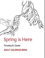 Adult Coloring Book