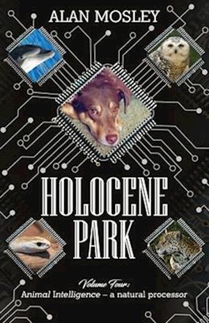 Holocene Park