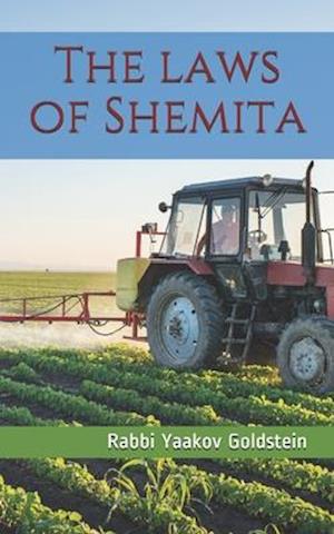 The laws of Shemita