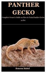 Panther Gecko: Complete Owner's Guide on How to Train Panther Gecko as Pet 