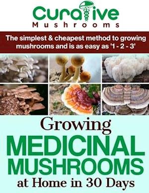 Growing Medicinal Mushrooms At Home The Easy Way