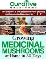 Growing Medicinal Mushrooms At Home The Easy Way