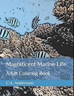 Magnificent Marine Life