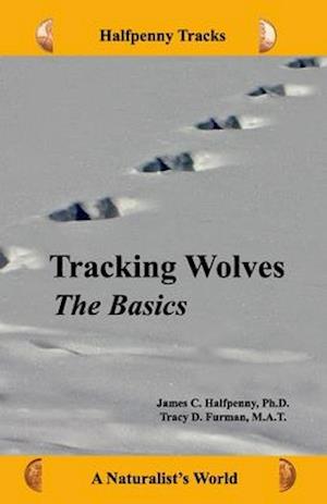 Tracking Wolves