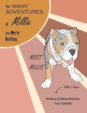 The Many Adventures of Millie the Merle Bulldog: Meet Millie