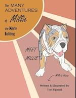 The Many Adventures of Millie the Merle Bulldog: Meet Millie 