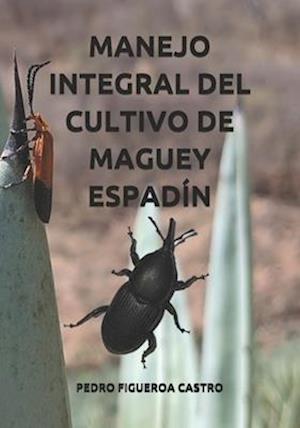 Manejo Integral del Cultivo de Maguey Espadín