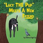 Lucy the pup meets a new friend 