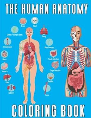 The Human Anatomy: Coloring book \ an Entertaining and Instructive Guide to the Human Body \ FOR ADULTS AND KIDS \ learn and enjoy