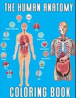 The Human Anatomy: Coloring book \ an Entertaining and Instructive Guide to the Human Body \ FOR ADULTS AND KIDS \ learn and enjoy 