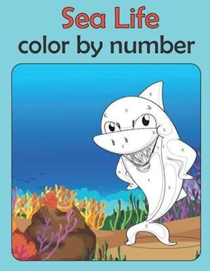 Sea life color by number