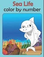 Sea life color by number