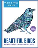 Beautiful Birds Coloring Book