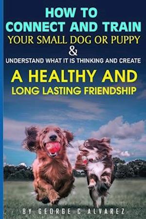 How to connect and train your small dog or puppy and understand what it is thinking and create a healthy and long lasting friendship