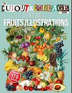 The Cut Out And Collage Book Vintage Fruits Illustrations : Over 170 High Quality Fruit Illustrations For Collage And Mixed Media Artists 