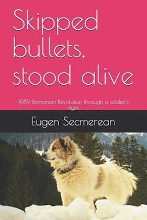 Skipped bullets, stood alive: 1989 Romanian Revolution through a soldier's eyes