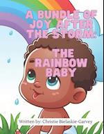 A bundle of joy after the storm : The Rainbow Baby 