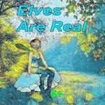 Elves Are Real