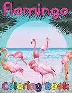 Flamingo coloring book: Easy and Fun Coloring Page for teenagers, 4-8, Unique gift for Girls who loves flamingo 