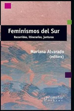 Feminismos del sur