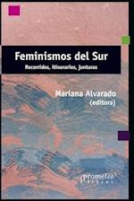 Feminismos del sur