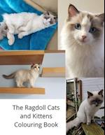 The Ragdoll Cats and Kittens Colouring Book 