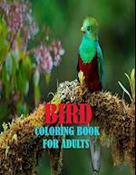 Bird Coloring Book For Adults