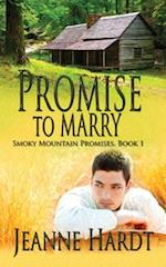 Promise to Marry