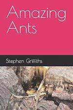 Amazing Ants 