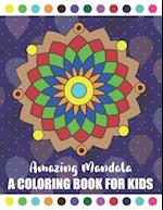 Amazing Mandala A Coloring Book for Kids: Amazing Symmetrical Design Mandala Coloring Book for Kids and Beginners | Children Book about Calming Down 