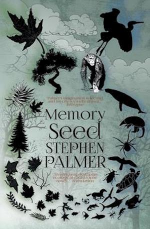 Memory Seed: 25th Anniversary Edition