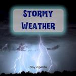 Wild and Amazing Weather Storms 
