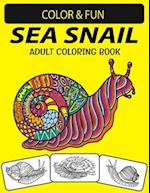 Sea Snail Adult Coloring Book