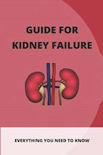 Guide For Kidney Failure