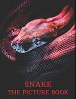 Snake: The Picture Book of Amazing Snake for Snake Lovers, Seniors, Dementia, and Alzheimer's. 