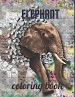 Elephant coloring book