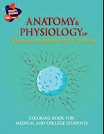 Anatomy & Physiology of Human Reproductive system