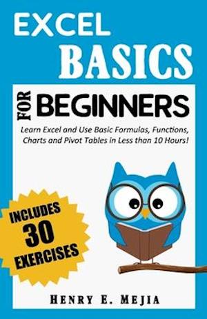 EXCEL BASICS FOR BEGINNERS: Learn Excel and Use Basic Formulas, Functions, Charts and Pivot Tables in Less Than 10 Hours!